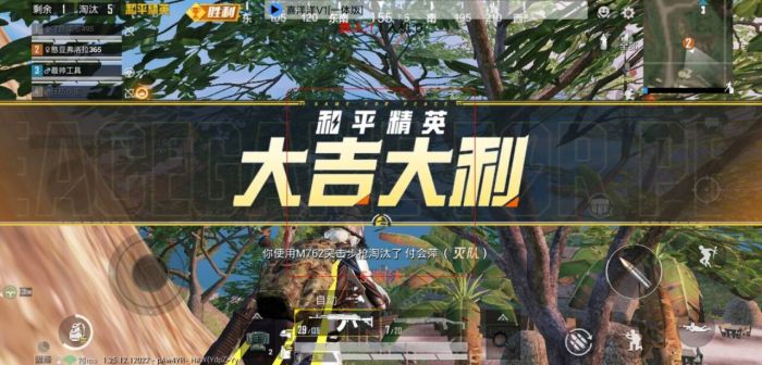 和平精英模拟器辅助 - 低配置设备专用外挂